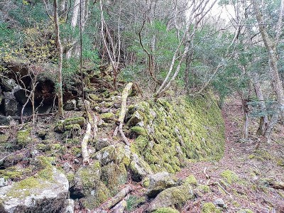 2024-12-28_09-24-48~2.jpg (305.94 KiB) 閲覧された回数 5939 回 インクライン