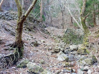 2024-12-28_13-08-22~3.jpg (305.68 KiB) 閲覧された回数 5930 回 谷の両側に古和谷駅の石積