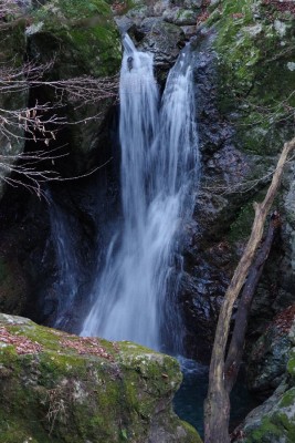 IMGP4880.JPG (169.56 KiB) 閲覧された回数 4398 回 岩戸の滝