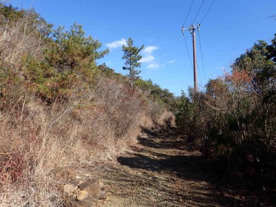 P1010043.jpg (121.93 KiB) 閲覧された回数 2685 回 気持ちの良い宇治岳道