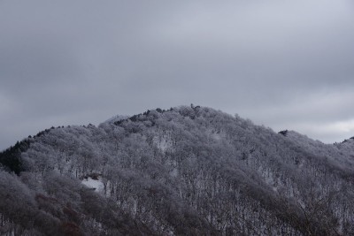 林道から見えた霧氷