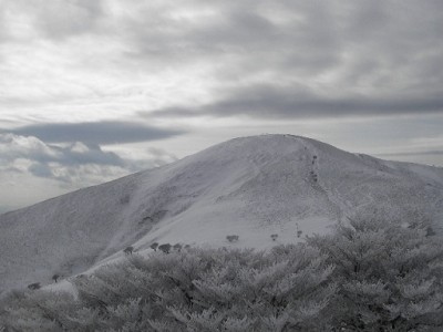 IMGP0970.JPG (67.12 KiB) 閲覧された回数 3394 回 クラ方面から見た竜ヶ岳