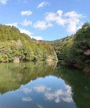 池に水面