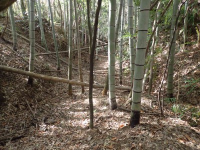 P1080044.jpg (133.77 KiB) 閲覧された回数 3041 回 消えかかった古街道