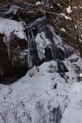 中の滝（４０メートルらしい）