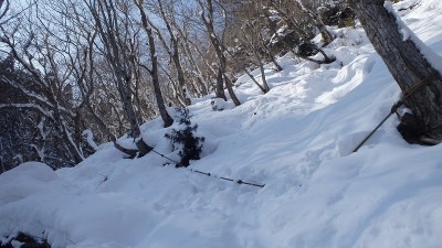 P1140585.jpg (146.86 KiB) 閲覧された回数 6038 回 ロープが張られたヘツリ道