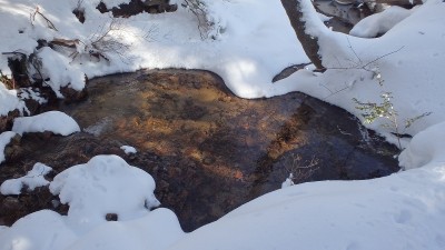 源頭域にはハート池も