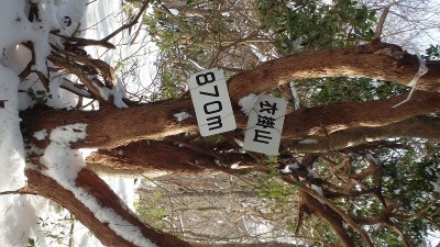 P1140596.jpg (204.14 KiB) 閲覧された回数 6038 回 衣掛山