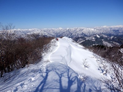 この中にクロオさんは写っているのでしょうか？