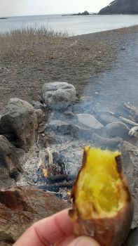 芦浜で焼き芋s.JPG