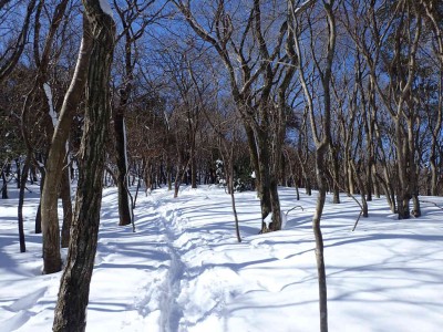 P2250010.jpg (123.78 KiB) 閲覧された回数 2505 回 子向井山手前