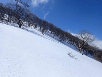 P2250052.jpg (55.58 KiB) 閲覧された回数 2505 回 稜線への斜面