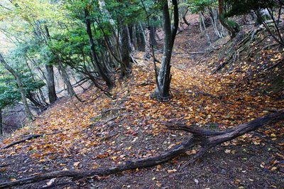 DSC04860.jpg (267.66 KiB) 閲覧された回数 12157 回 巻き道分岐