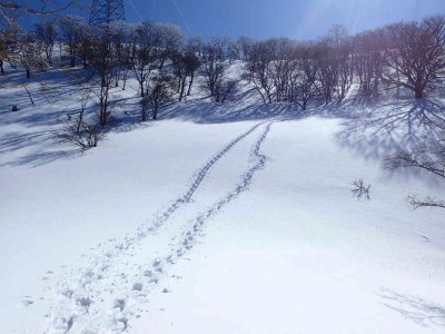 P2250111.jpg (65.93 KiB) 閲覧された回数 2505 回 登りと下りのフットプリント