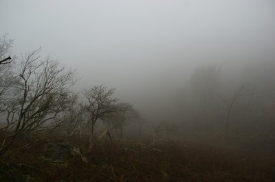 DSC04915.jpg (73.58 KiB) 閲覧された回数 12164 回 あっという間に真っ白