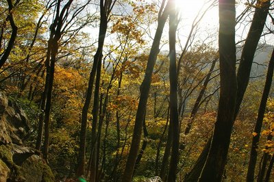 DSC04971.jpg (242.96 KiB) 閲覧された回数 12157 回 祝福の青空