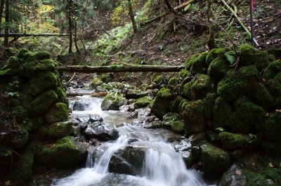 DSC04990.jpg (183.43 KiB) 閲覧された回数 12187 回 八坂神社北東の谷の橋台跡 ちょっとした車両は通れたのだと思う