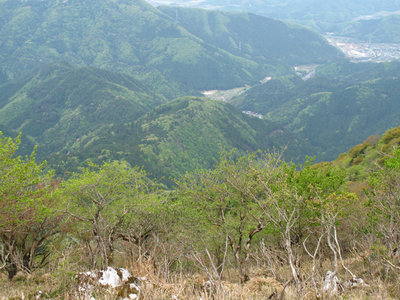 ビン坂峠の尾根