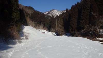 P3100804.jpg (99.22 KiB) 閲覧された回数 2950 回 あの峰をめざして