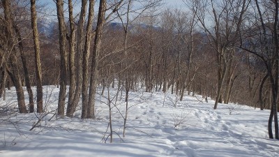 平坦な尾根を下る