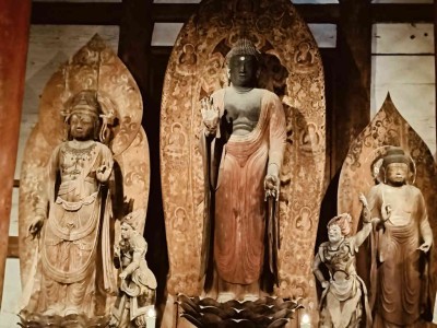 IMG20250418111509.jpg (77.92 KiB) 閲覧された回数 1922 回 金堂の仏像