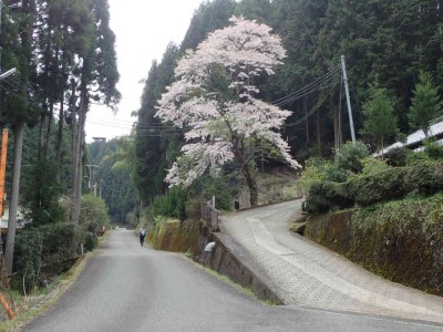 P4180004.jpg (86.15 KiB) 閲覧された回数 1922 回 右 伊勢本街道
