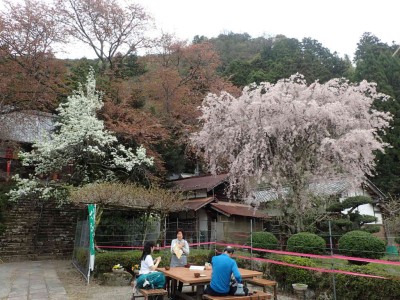 P4180027.jpg (116.42 KiB) 閲覧された回数 1922 回 仏隆寺