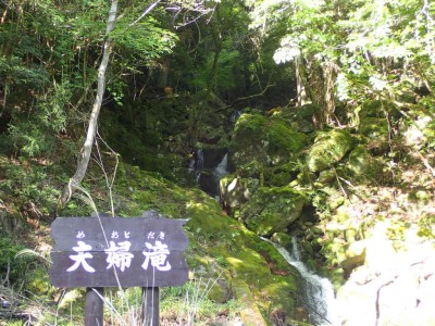 P5080006.jpg (128.41 KiB) 閲覧された回数 1562 回 地獄谷入り口