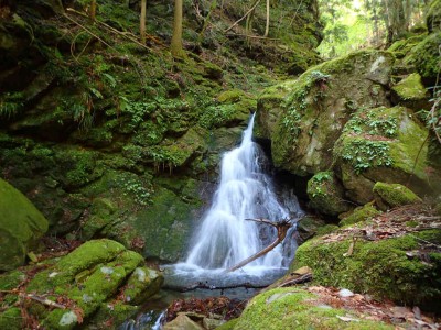 P5080064.jpg (114.4 KiB) 閲覧された回数 1562 回 感じのいい斜滝