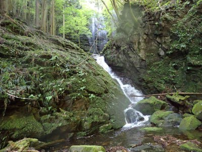 P5080107.jpg (111.69 KiB) 閲覧された回数 1562 回 斜滝の向こうに夫婦滝