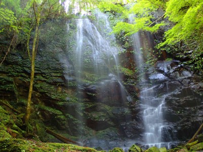 P5080117.jpg (108.5 KiB) 閲覧された回数 1560 回 夫婦滝