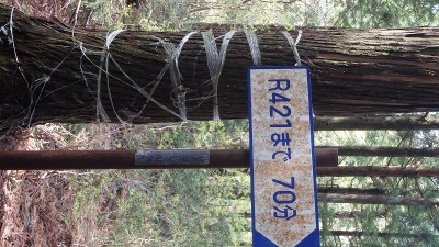 P5080010.jpg (205.99 KiB) 閲覧された回数 2644 回 引き返すならこの辺りで…