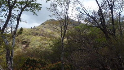 P5080040.jpg (208.83 KiB) 閲覧された回数 2644 回 釈迦ヶ岳山頂はすぐそこに