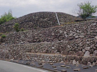 深野だんだん田