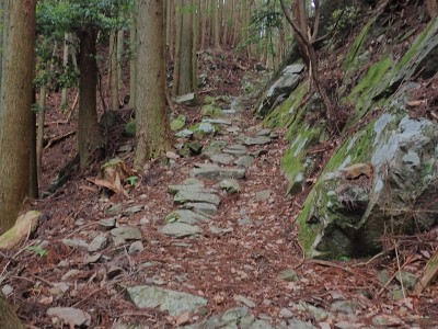 P6070043.JPG (250.62 KiB) 閲覧された回数 2530 回 石畳道