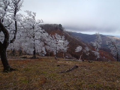 20111204-46.jpg