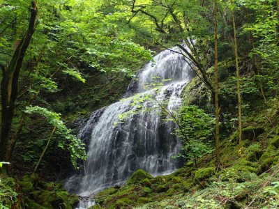 P6120057.jpg (144.29 KiB) 閲覧された回数 2956 回 地獄谷 下の大滝