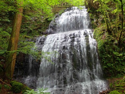 P6120064.jpg (123.97 KiB) 閲覧された回数 2957 回 地獄谷 下の大滝