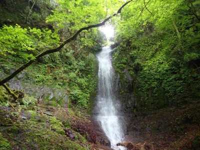 P6120086.jpg (139.85 KiB) 閲覧された回数 2956 回 地獄谷 上の大滝