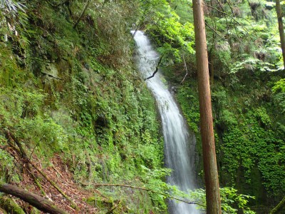 P6120104.jpg (149.24 KiB) 閲覧された回数 2949 回 地獄谷 上の大滝