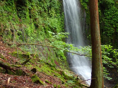 P6120109.jpg (141.5 KiB) 閲覧された回数 2949 回 地獄谷 上の大滝