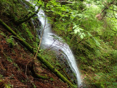 P6120122.jpg (150.75 KiB) 閲覧された回数 2949 回 地獄谷 下の大滝