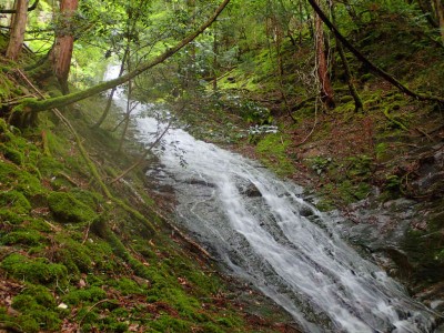 F1とF2の間のナメ