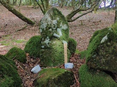 琵琶越の大日如来