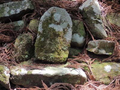 白髪越口の野仏