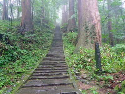 2025-06-23_12-19-26~2.jpg (336.44 KiB) 閲覧された回数 2337 回 2446段の石畳と杉並木