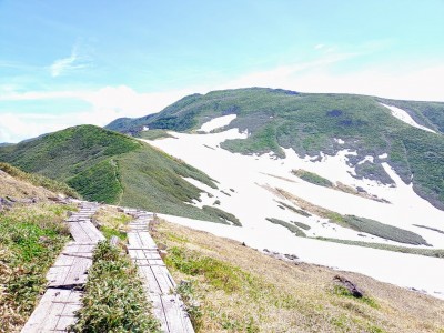 2025-06-25_09-06-31~2.jpg (253.03 KiB) 閲覧された回数 2334 回 稜線から月山を望む