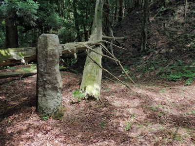 西杉峠　石柱