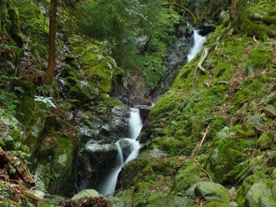 P7240015.jpg (108.17 KiB) 閲覧された回数 1607 回 第一連瀑帯下部