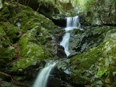 P7240034.jpg (100.78 KiB) 閲覧された回数 1607 回 第一連瀑帯上部